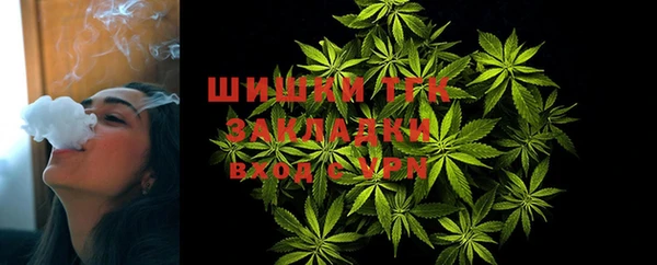 винт Абаза