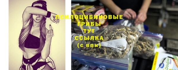крисы Абдулино