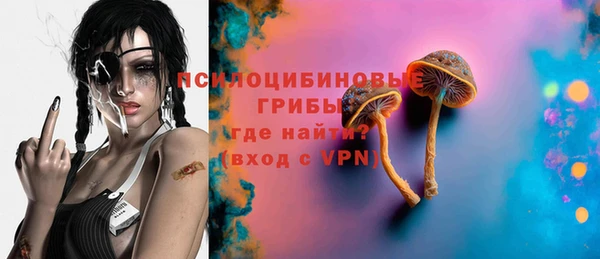 винт Абаза