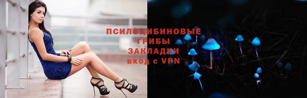 крисы Абдулино