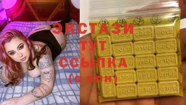 гашик Ельня