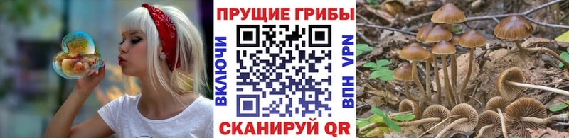 Галлюциногенные грибы прущие грибы Цивильск