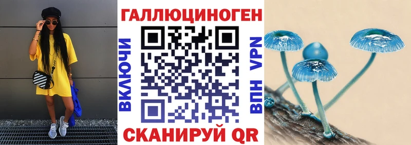 KRAKEN как войти  Цивильск  Галлюциногенные грибы Magic Shrooms  наркошоп 