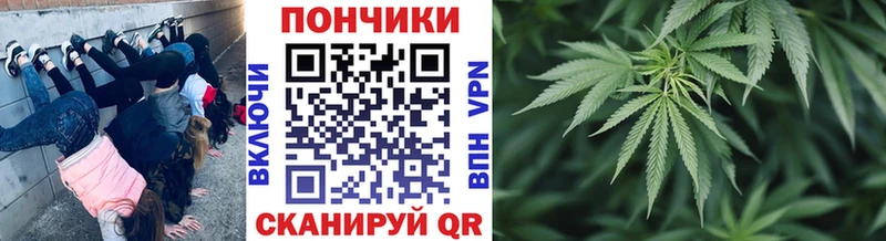 купить наркоту Цивильск МАРИХУАНА ГИДРОПОН